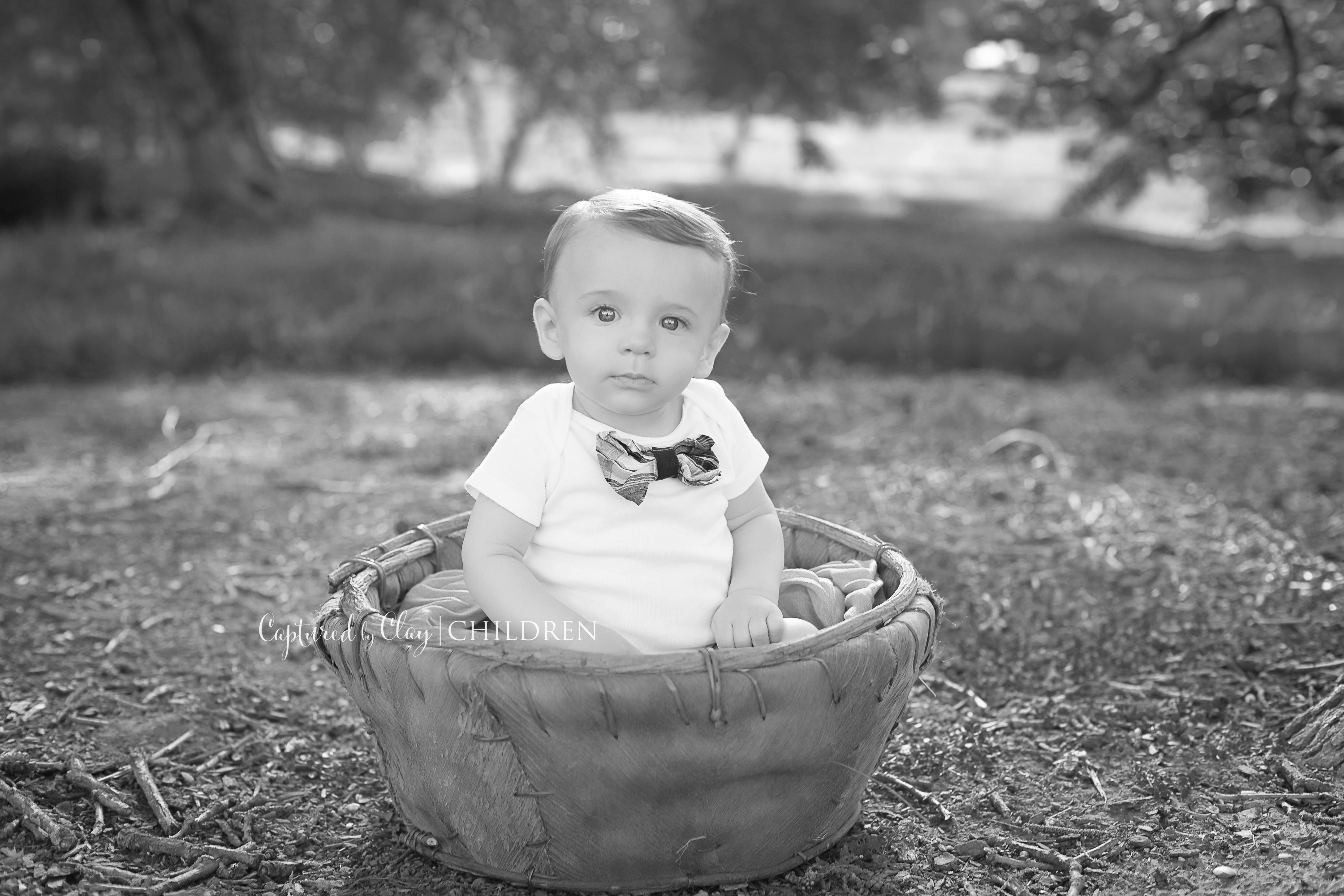 georgetown ky child photographer